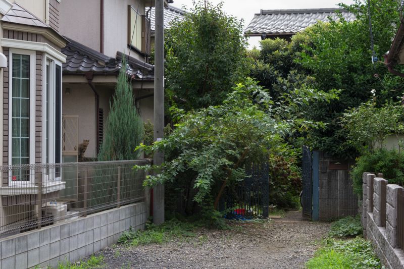 Найди кота в Японии 7