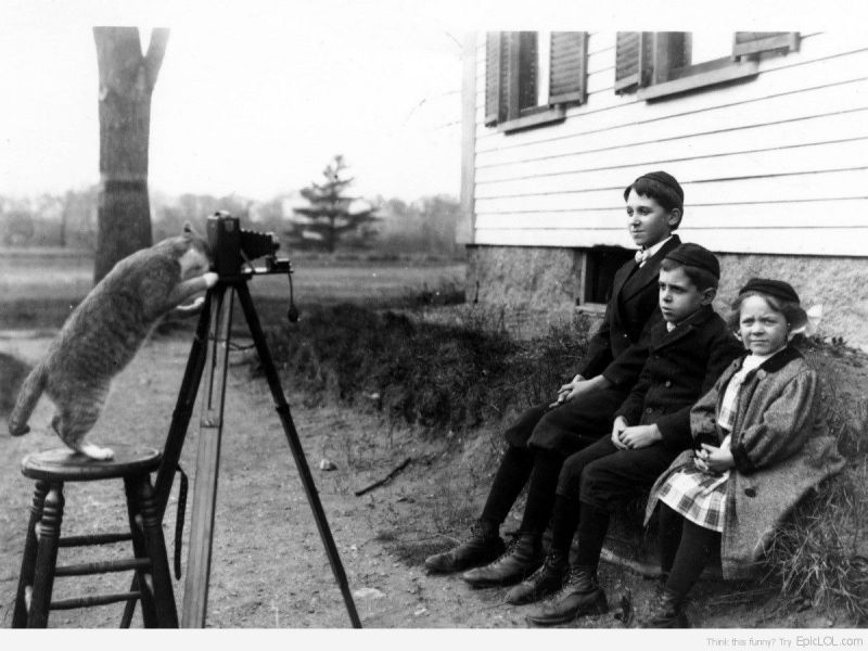 Старое фото: кот фотографирует детей