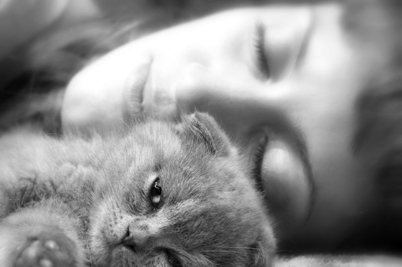 Черно-белое фото: девушка спит с котёнком